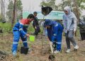 Pertamina EP Jambi Sambut Ajakan Pemprov Hijaukan Jambi