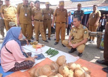 Wakil Bupati Muaro Jambi Pastikan Ketersediaan Bahan Pokok di Pasar Sengeti Aman Jelang Ramadhan