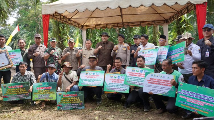 Luas Tanam Sawah di Merangin Naik 11 Persen, Bupati M. Syukur Pacu Bantuan Alsintan dan Infrastruktur