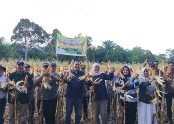 Kembali Panen Jagung, Bupati M. Syukur minta Dinas Tanaman Pangan dan Holtikultura Jadi Contoh di Sektor Pertanian