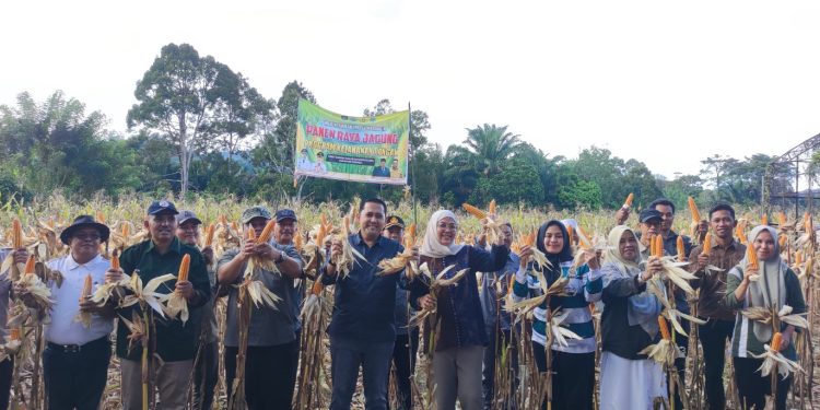 Kembali Panen Jagung, Bupati M. Syukur minta Dinas Tanaman Pangan dan Holtikultura Jadi Contoh di Sektor Pertanian