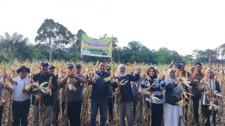Kembali Panen Jagung, Bupati M. Syukur minta Dinas Tanaman Pangan dan Holtikultura Jadi Contoh di Sektor Pertanian