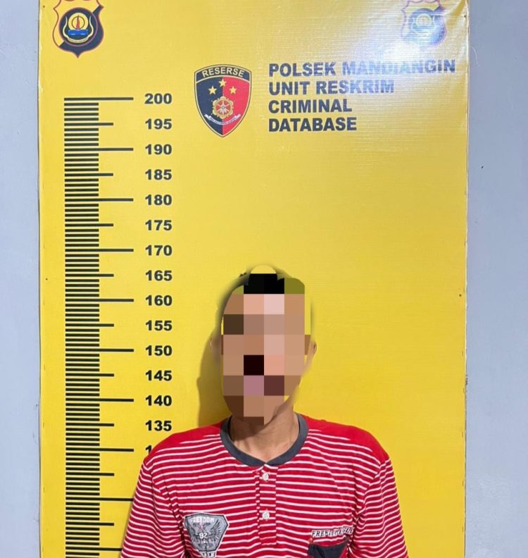 ‎Lagi-lagi Pelaku Pencurian Buah Sawit Di Mandiangin Berhasil Di Amankan Polsek Mandiangin 