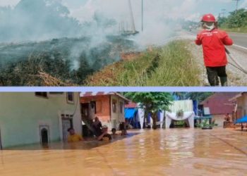 BNPB Himpun Peristiwa Bencana, diantaranya Kebakaran Hutan di Kabupaten Batang Hari dan Banjir di Sarolangun Jambi
