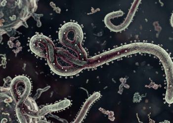 WHO Tetapkan Ebola Sebagai PHEIC, Kemenkes Tingkatkan Pengawasan dan Imbau Masyarakat Tetap Waspada