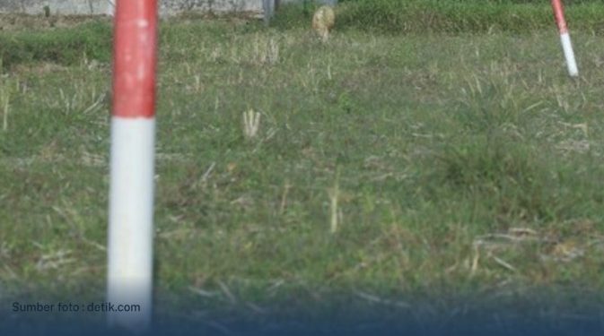 Kementerian ATR/BPN Minta Masyarakat Proaktif Menjaga Tanah agar Tidak Diserobot Orang Lain