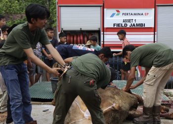 Momentum Idul Adha, PHR Zona 1 Tebar Manfaat untuk Masyarakat