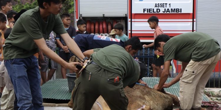 Momentum Idul Adha, PHR Zona 1 Tebar Manfaat untuk Masyarakat