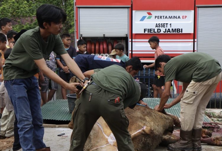 Momentum Idul Adha, PHR Zona 1 Tebar Manfaat untuk Masyarakat