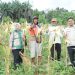 Wakil Ketua DPRD Kota Jambi Muhammad Yasir Dorong Penguatan Pertanian Rakyat Saat Panen Raya di Paal Lima