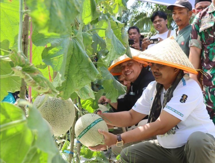 Bupati Anwar Sadat Menilai Sektor Hortikultura Memiliki Prospek yang Sangat Menjanjikan