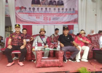 Karnaval HUT RI ke-81 di Kecamatan Singkut Berlangsung Meriah dan Penuh Warna