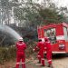 Pertamina EP Bantu Padamkan 5 Titik Kebakaran Lahan di Jambi